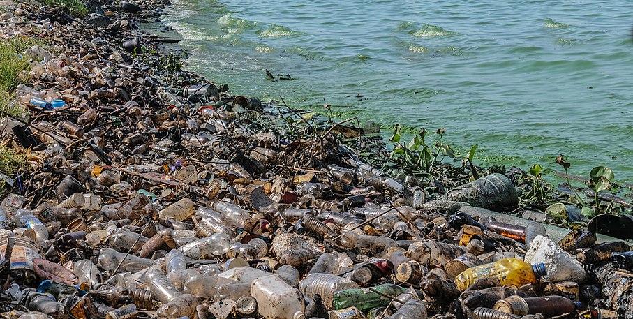 Глобалните корпорации замърсяват Земята с пластмаси