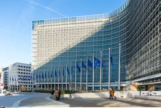 Критики към структурата на Европейския Съюз